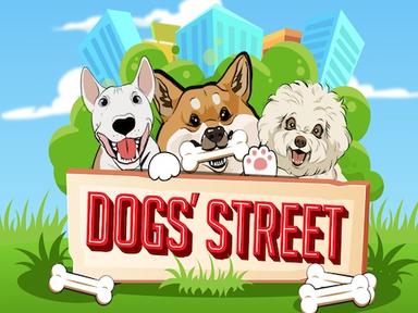 dogsstreet_Horizontal.jpg