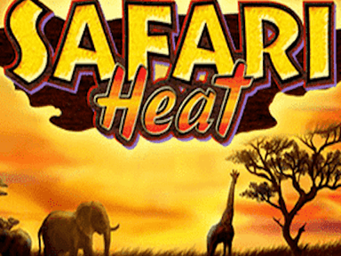 safariheat_Horizontal.png