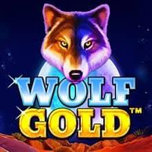 wolfgold_Square.jpg